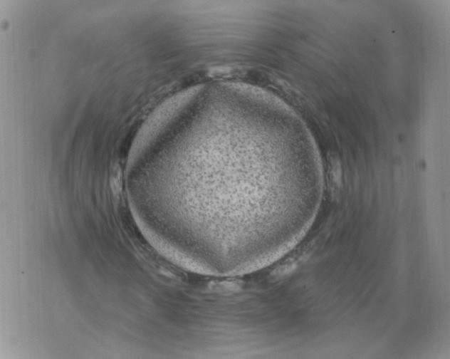 X0000070860914200607071854