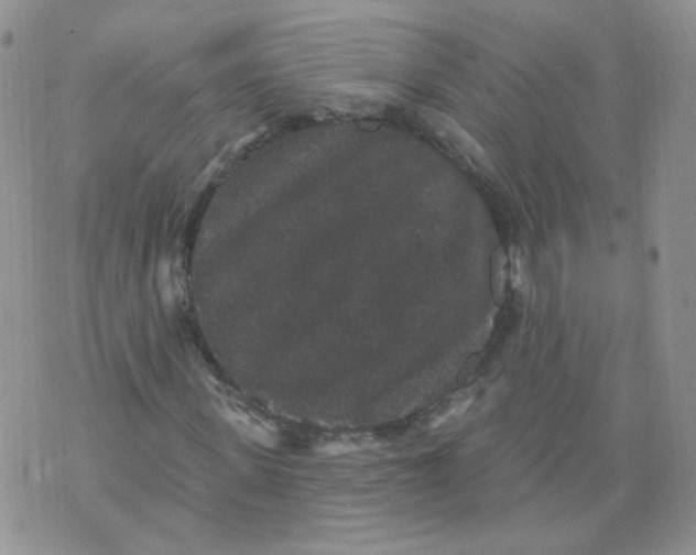 X0000070860915200607071854