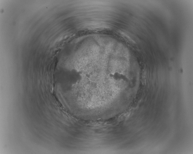 X0000070860917200607071854