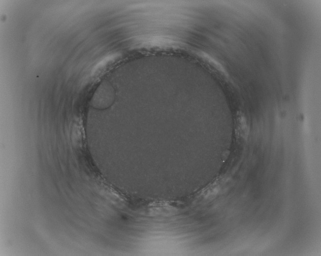 X0000070860918200607071854