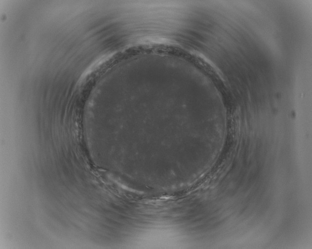 X0000070860919200607071854