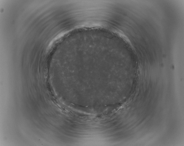 X0000070860920200607071854