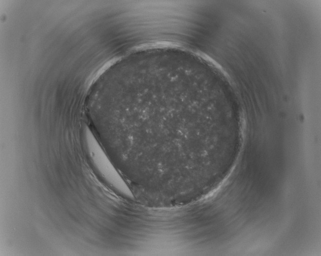 X0000070860921200607071854