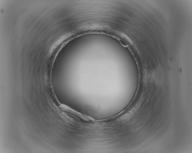 X0000070860922200607071854