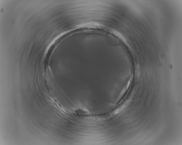 X0000070860923200607071854