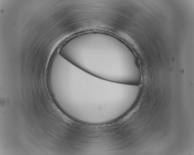 X0000070860924200607071854