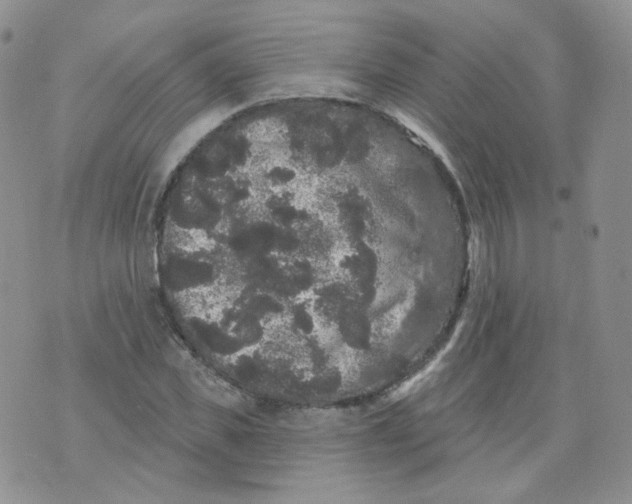 X0000070860925200607071854