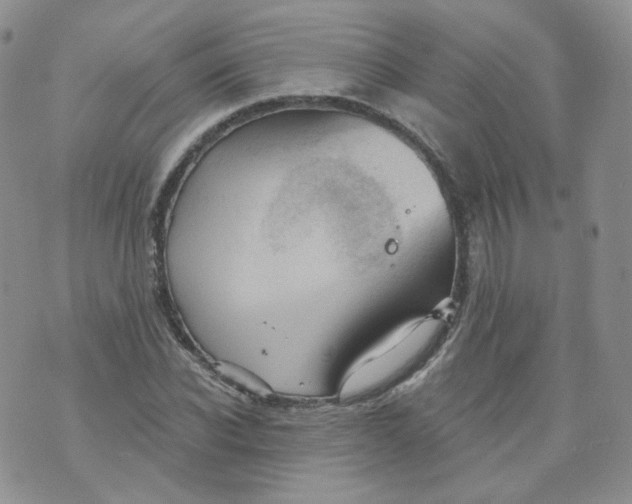 X0000070860926200607071854