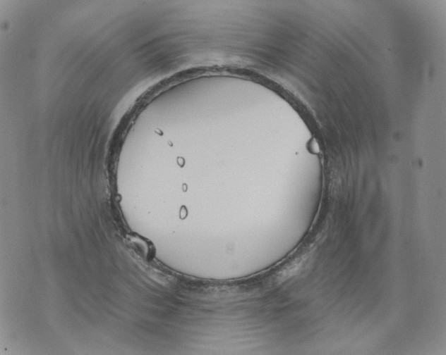 X0000070860927200607071854