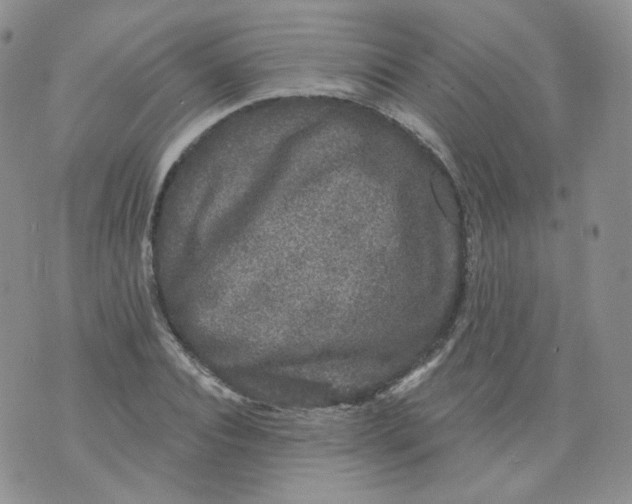 X0000070860928200607071854