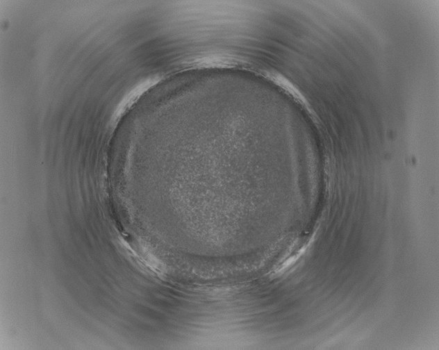 X0000070860930200607071854