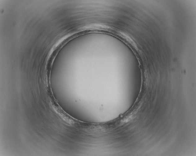 X0000070860931200607071854