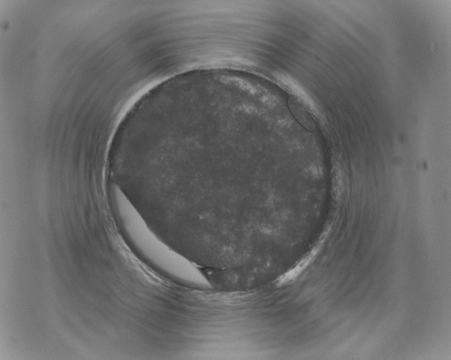 X0000070860932200607071854