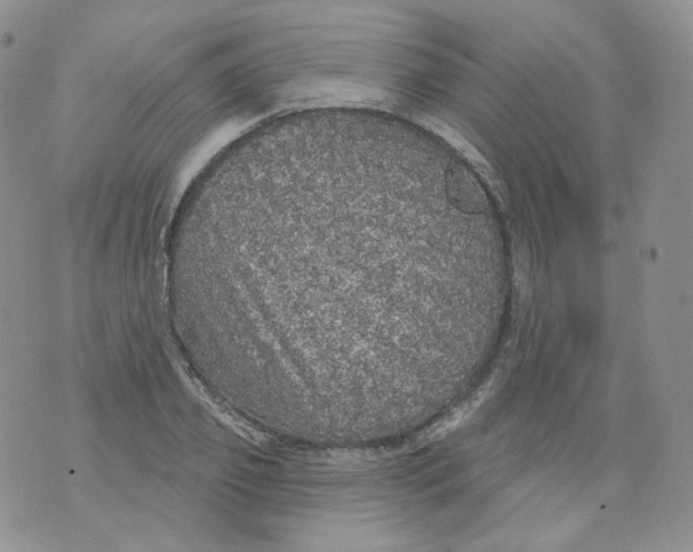 X0000070860933200607071854