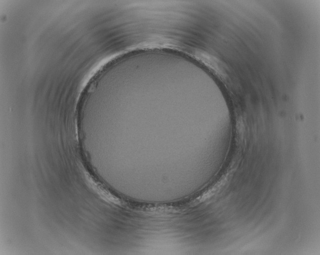 X0000070860934200607071854