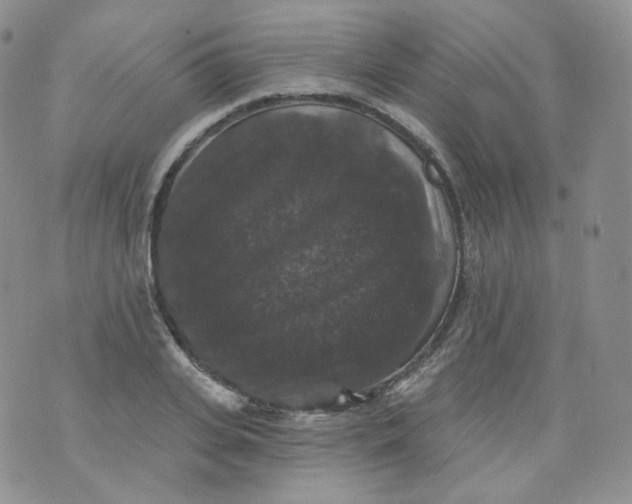 X0000070860935200607071854