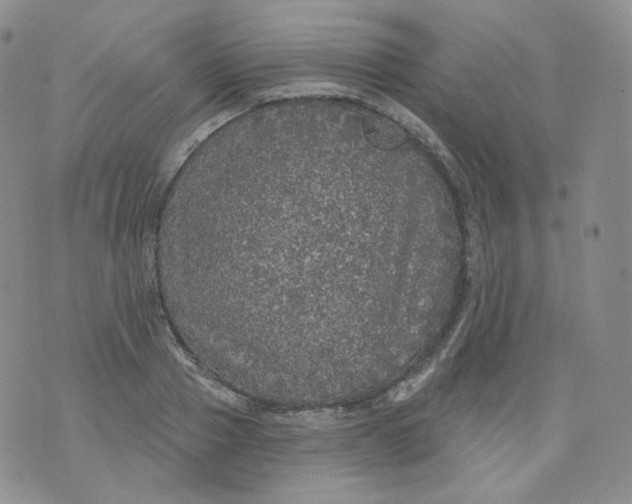 X0000070860937200607071854