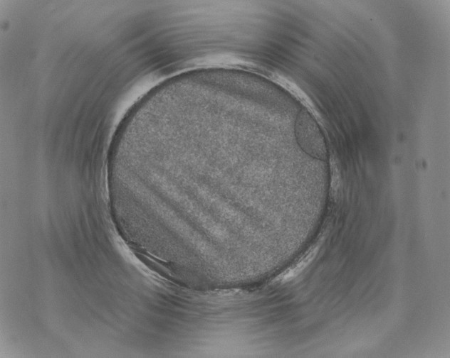 X0000070860939200607071854