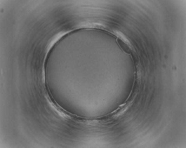 X0000070860940200607071854