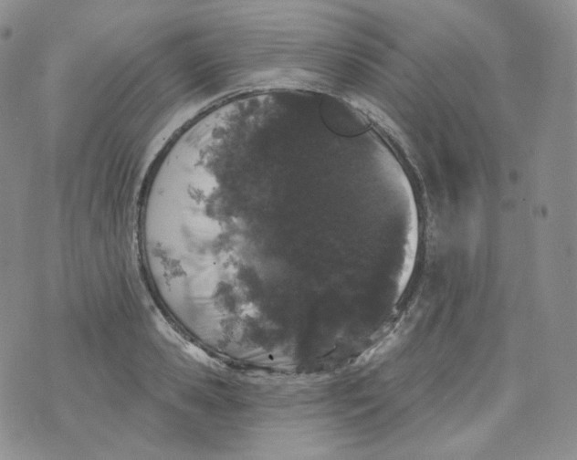 X0000070860941200607071854