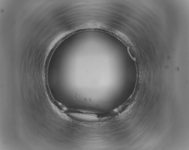 X0000070860942200607071854