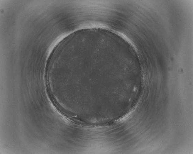 X0000070860943200607071854