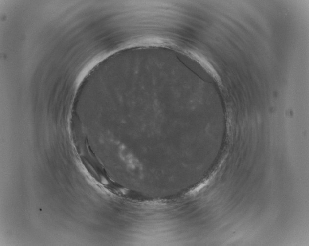 X0000070860944200607071854