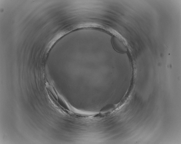 X0000070860945200607071854