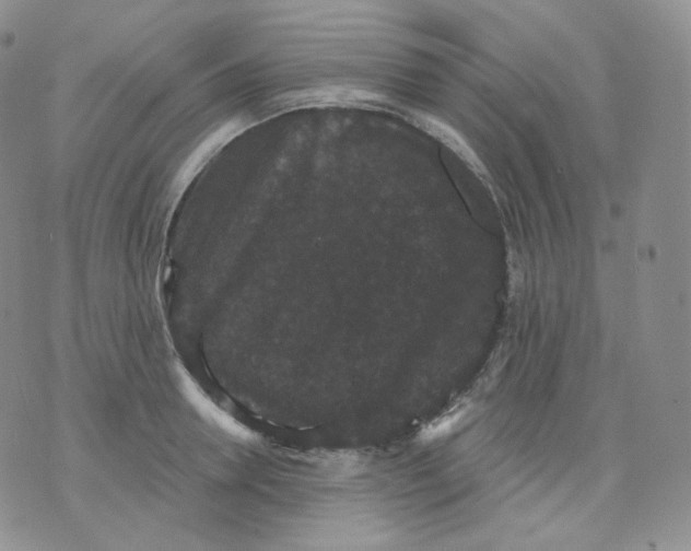 X0000070860946200607071854