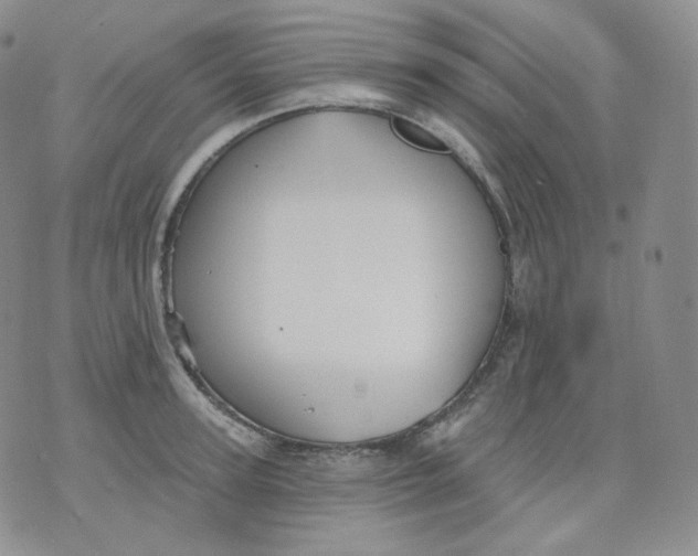 X0000070860947200607071854