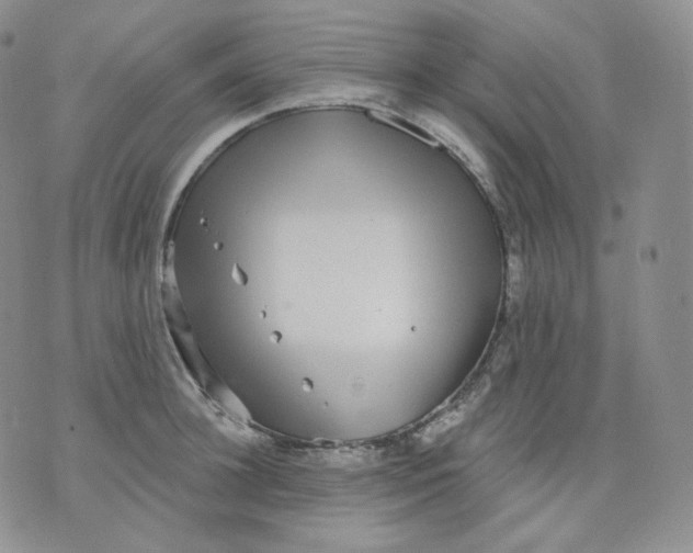 X0000070860948200607071854