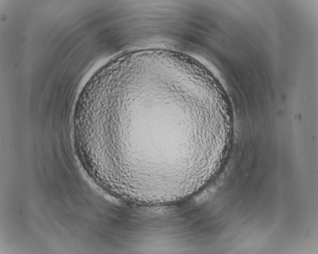 X0000070860949200607071854