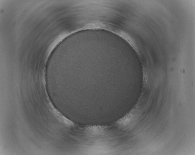 X0000070860950200607071854