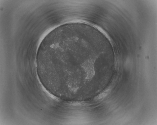 X0000070860951200607071854