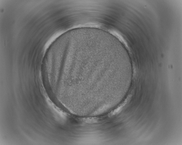 X0000070860952200607071854