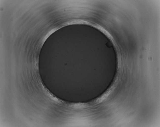 X0000070860953200607071854