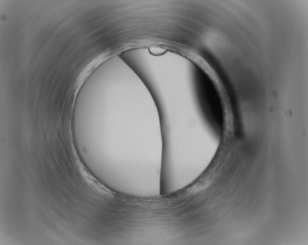 X0000070860954200607071854