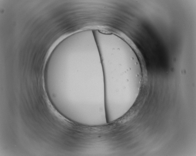 X0000070860955200607071854