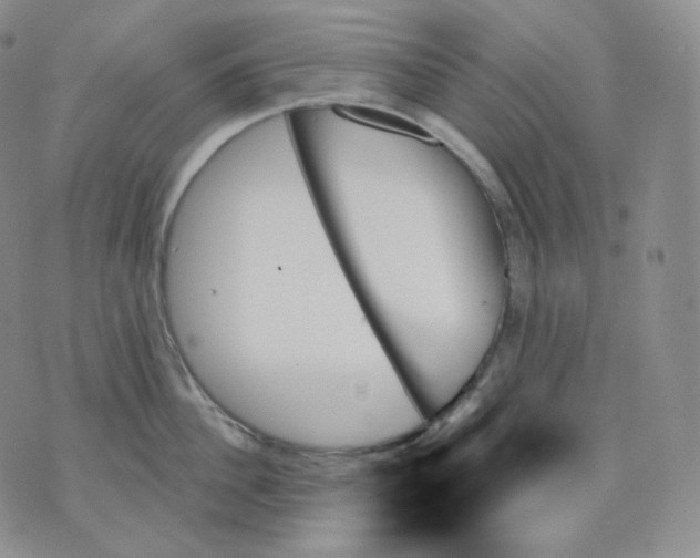 X0000070860956200607071854