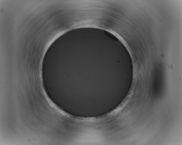 X0000070860957200607071854