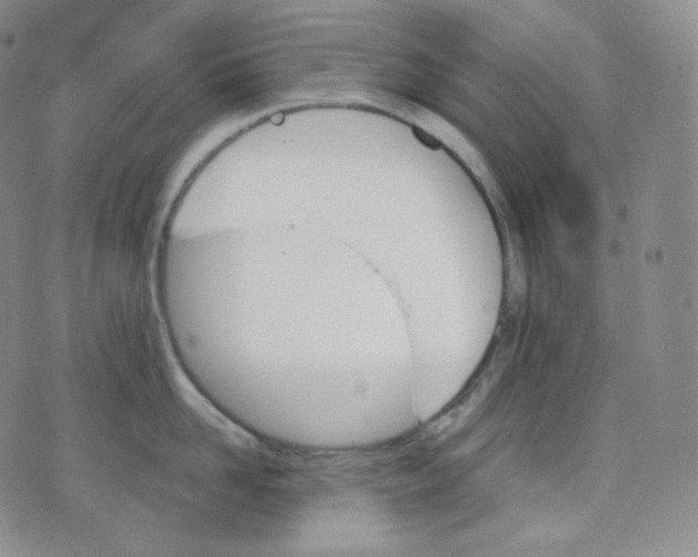 X0000070860958200607071854