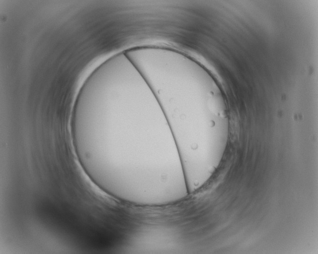 X0000070860959200607071854