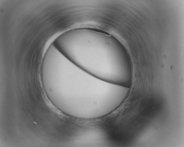 X0000070860960200607071854