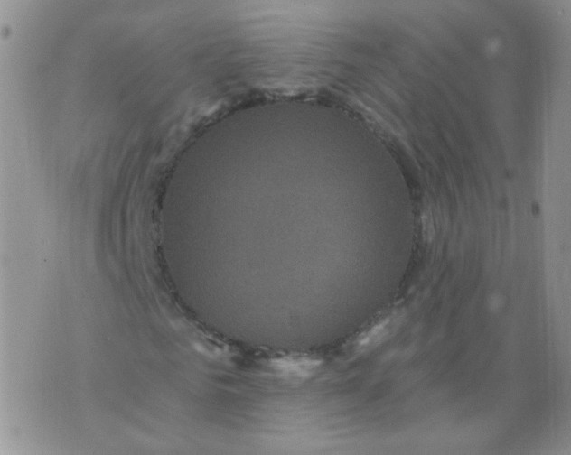 X0000070860961200607071854