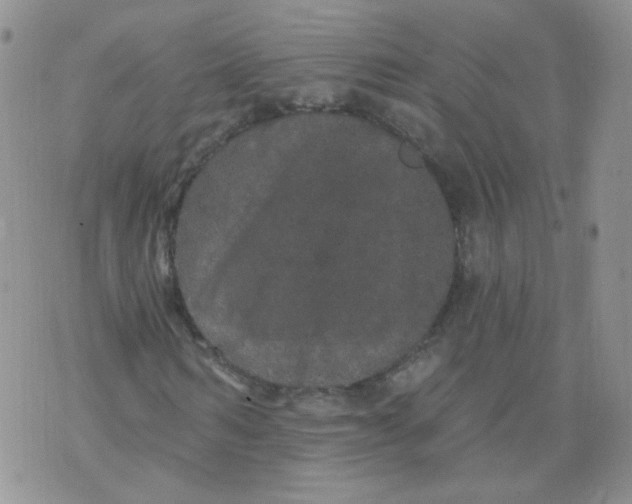 X0000070860962200607071853