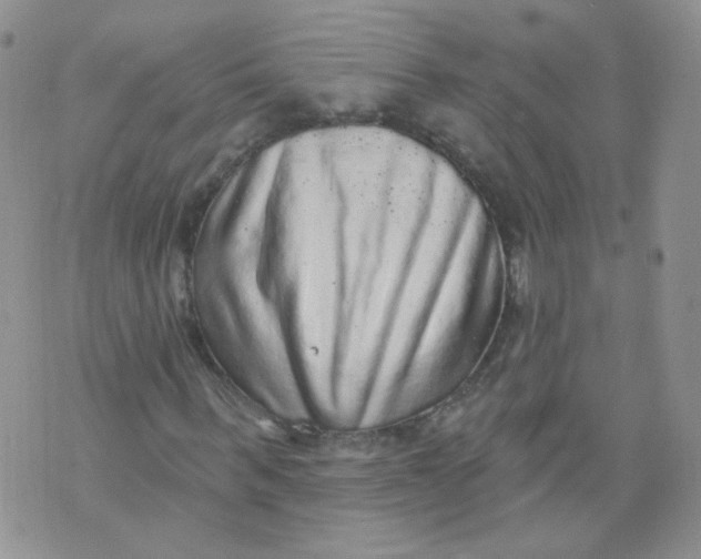 X0000070860963200607071853