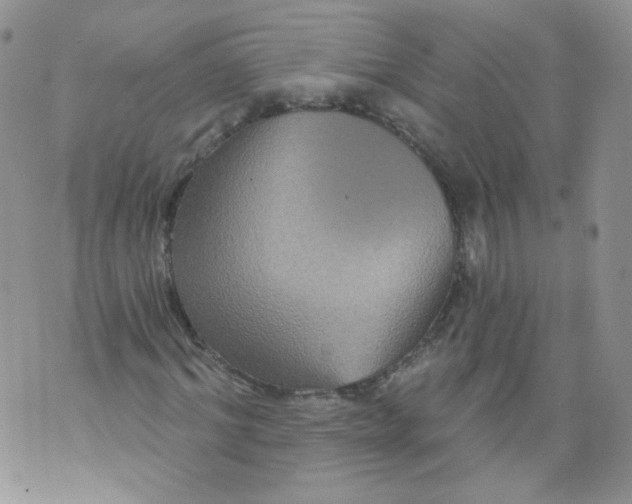 X0000070860964200607071853