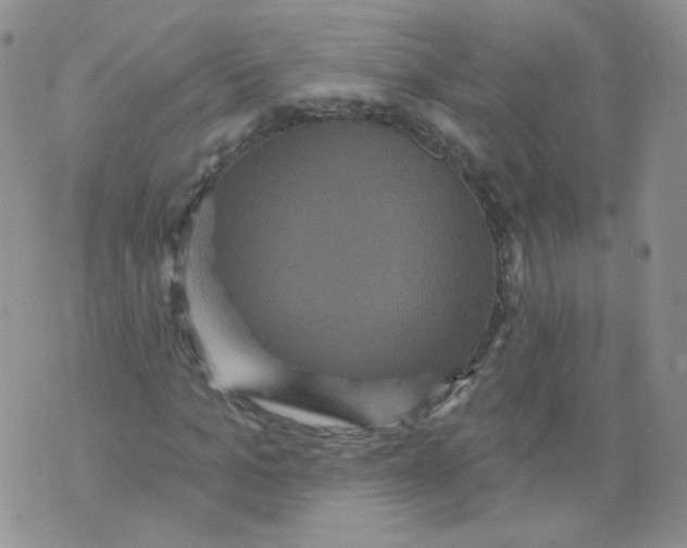 X0000070860965200607071853