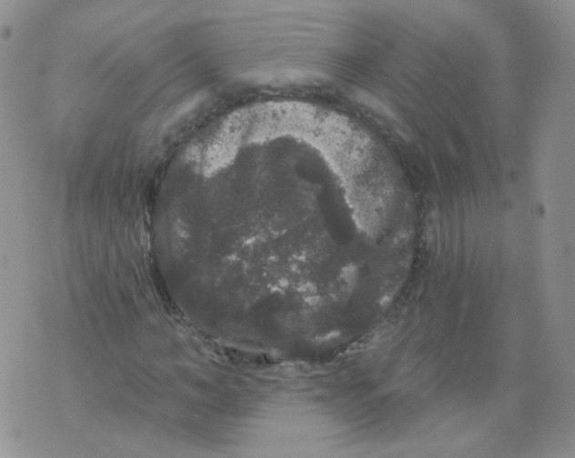 X0000070860966200607071853