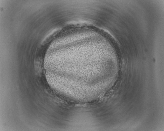 X0000070860967200607071853